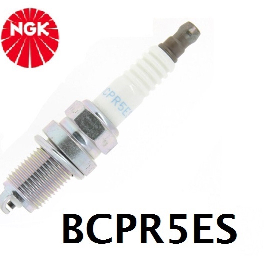 Gutbrod NGK BCPR5ES OE088 RC10YC 87295161302 6130 Standard Spark Plug 6 Pack Replace FR8DC FR8DC 